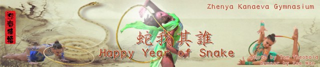 zkg-wp-banner-year-of-snake-2013-zoe.jpg
